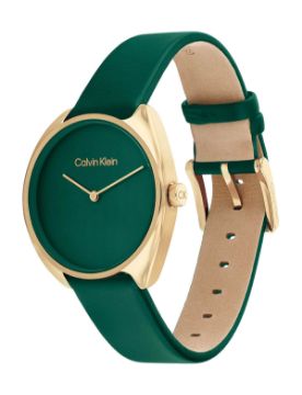 Calvin Klein Quartz Kadın Kol Saati 25200273