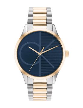 Calvin Klein Quartz Unisex Kol Saati CK25200165