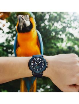 Casio Pro Trek PRG-600 Serisi PRG-601YB-2DR