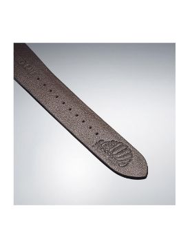 Seiko Presage Craftsmanship Series Studio Ghibli Nausicaä of the Valley of the Wind Collaboration Limited Edition SPB437J