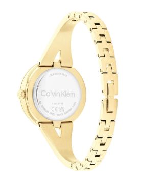 Calvin Klein Quartz Women's Watch CK25100027