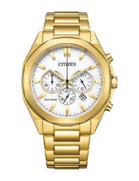 Citizen Gents Watch CA4592-85A