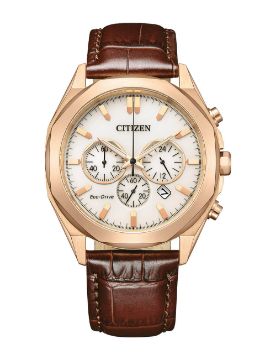 Citizen Gents Watch CA4593-15A