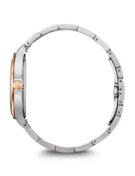 Victorinox Alliance VS 241912