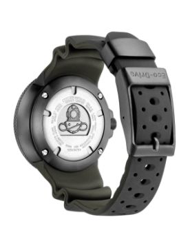 Citizen Promaster Professional Diver 300 BJ8055-04X