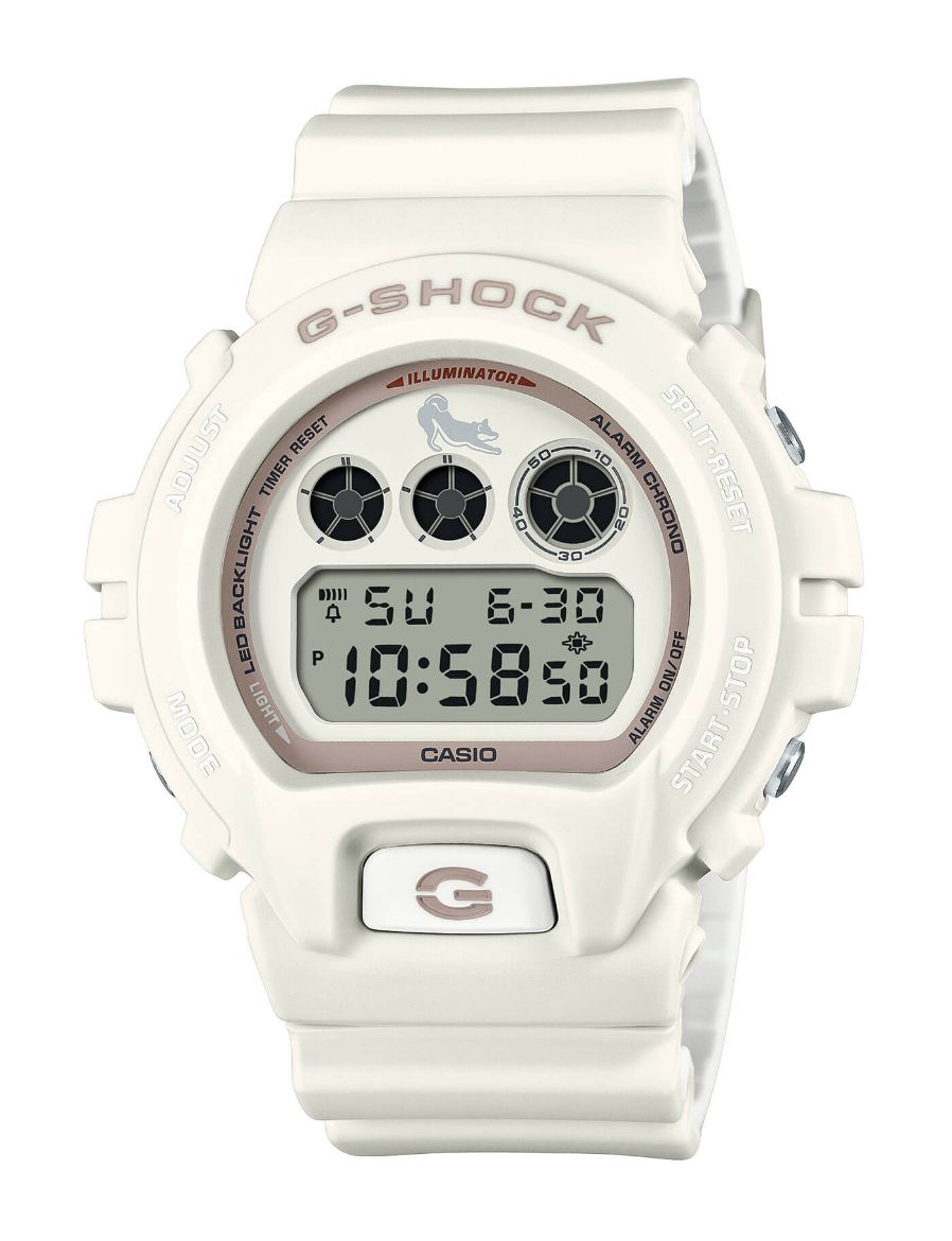 G-Shock Digital 6900 Serisi DW-6900SHB-7DR