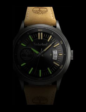 Timberland Trumbul TDWGB0041006