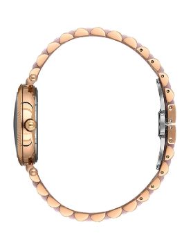 Essence Quartz Kadın Kol Saati ES6913FE.590