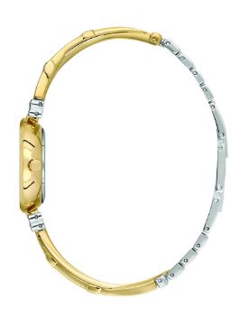 Essence Quartz Kadın Kol Saati D1043.240