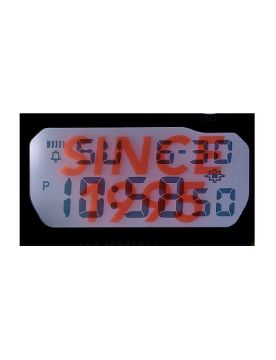 G-Shock 6900 Line 30th Anniversary Model DW-6900TR-4DR