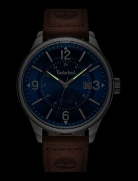 Timberland Blake TDWGB0011301