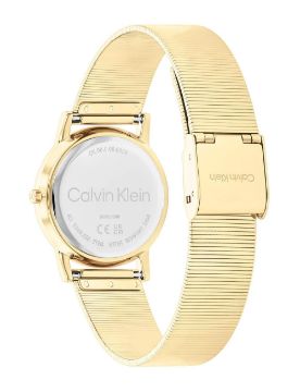 Calvin Klein Quartz Kadın Kol Saati CK25100035