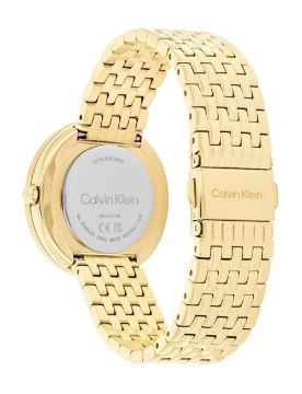 Calvin Klein Quartz Kadın Kol Saati CK25100066