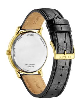 Citizen Eco-Drive BM6756-01A