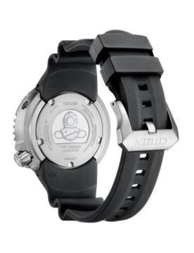 Citizen Promaster Professional Diver BN1024-01E
