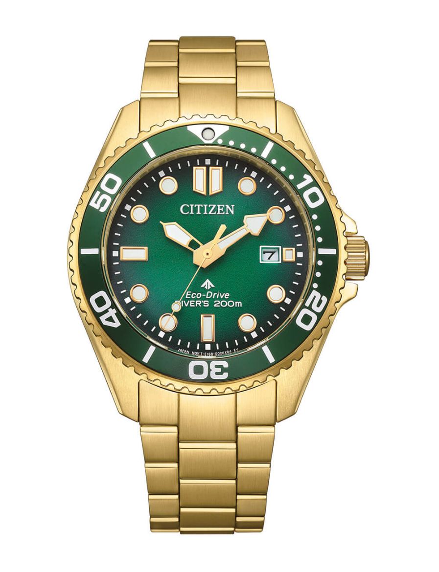 Citizen Promaster Eco-Drive Diver BN0262-59W