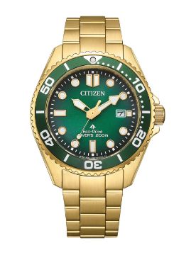 Citizen Promaster Eco-Drive Diver BN0262-59W