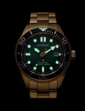 Citizen Promaster Eco-Drive Diver BN0262-59W