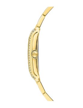 Jacques Philippe Hora 25 x 33 mm Quartz Saat JPQLS912384