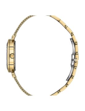 Essence 34 mm Quartz Saat D1210.120