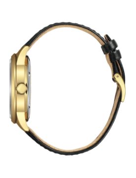 Citizen 40 mm Otomatik Saat NY4059-09AC