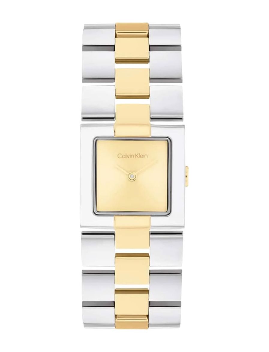 Calvin Klein CK Meridian 22 mm Quartz Saat CK25100115