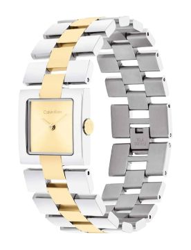 Calvin Klein CK Meridian 22 mm Quartz Saat CK25100115