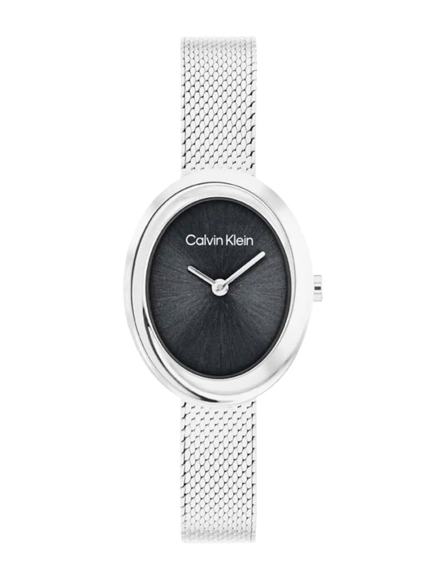 Calvin Klein Twisted Bezel 24 mm Quartz Saat CK25100151