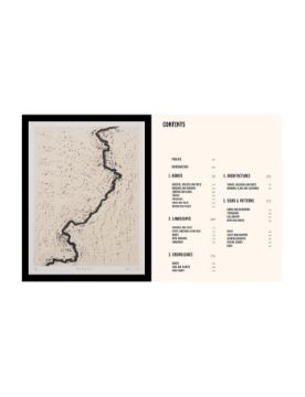 Thames & Hudson Abstract Art: A Global History 9780500298381