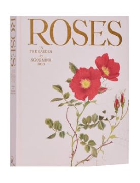 Rizzoli Roses in the Garden 9780847843053