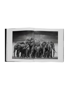 Rizzoli David Yarrow: The Collection 9780847875528
