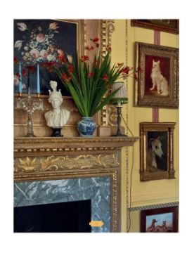 Rizzoli My Life in Colors: By Martin Brudnizki 9780847875696