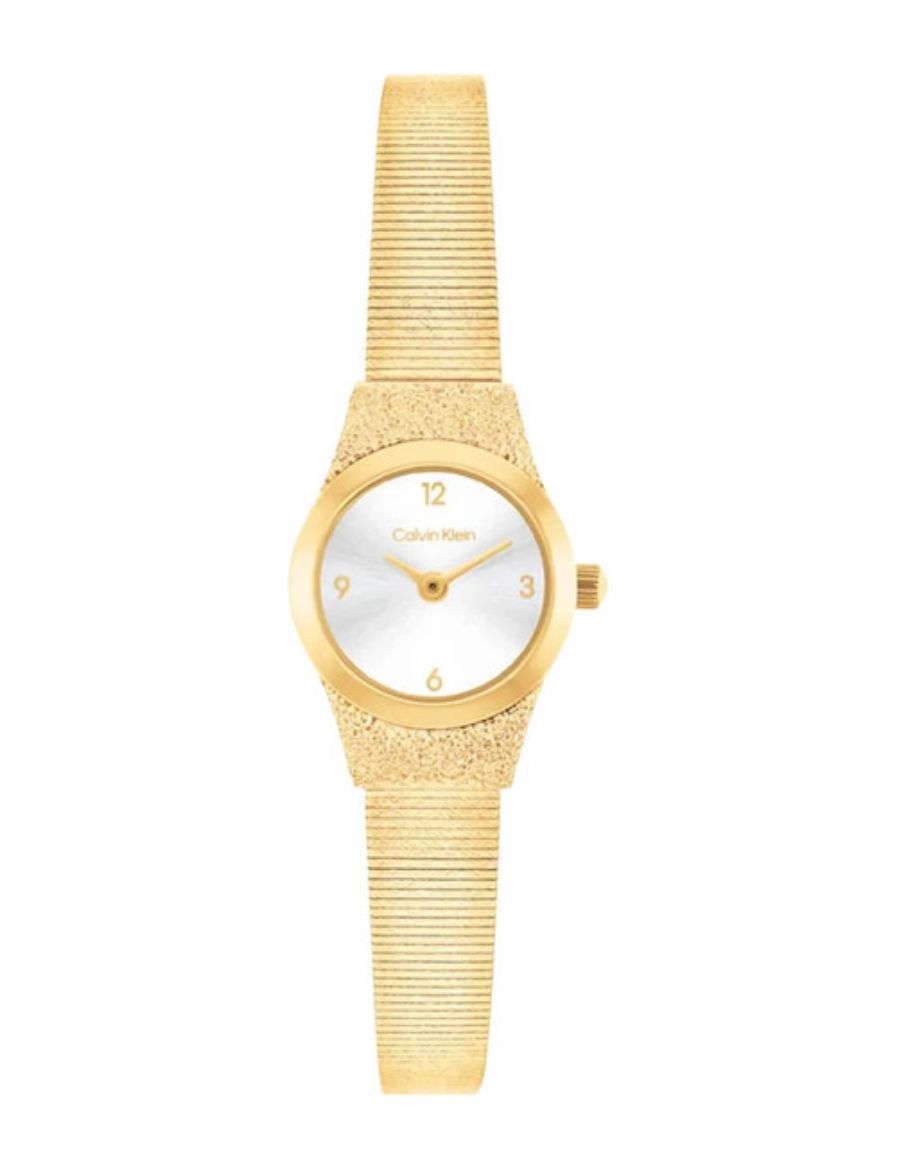 Calvin Klein CK Contemporary 18 mm Quartz Saat CK25100193