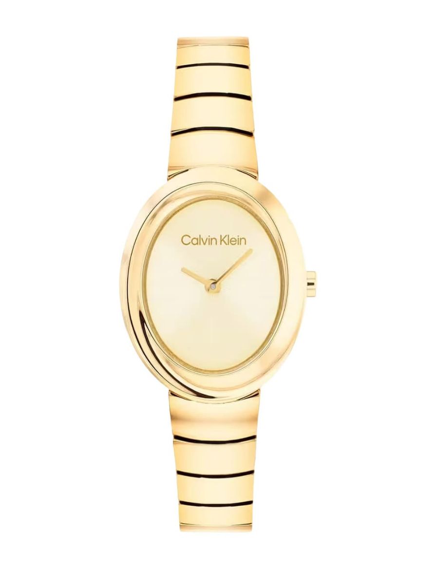 Calvin Klein Twisted Bezel 24 mm Quartz Saat CK25100147