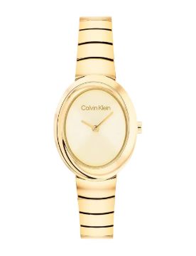 Calvin Klein Twisted Bezel 24 mm Quartz Saat CK25100147