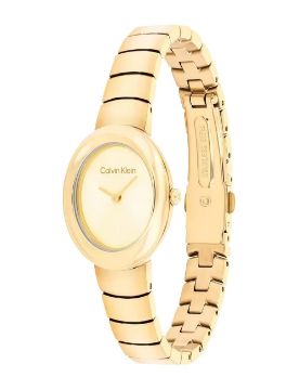 Calvin Klein Twisted Bezel 24 mm Quartz Saat CK25100147