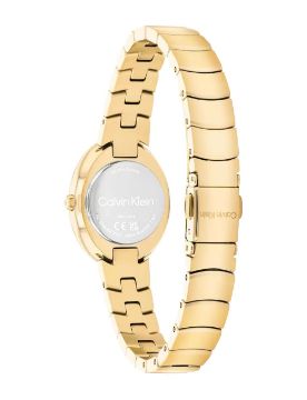 Calvin Klein Twisted Bezel 24 mm Quartz Saat CK25100147