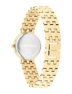 Calvin Klein 26 mm Quartz Saat CK25100187